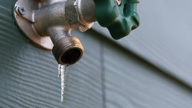 Best Affordable Plumbing Services  in Brazoria, TX