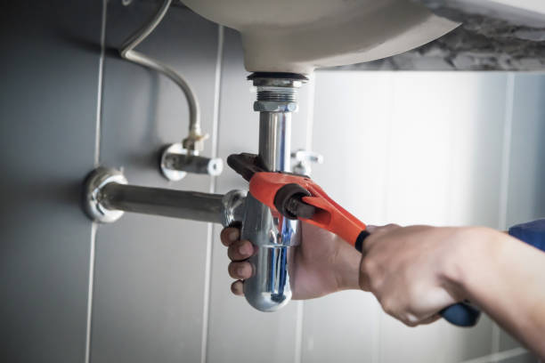 Best Plumbing Services Near Me  in Brazoria, TX